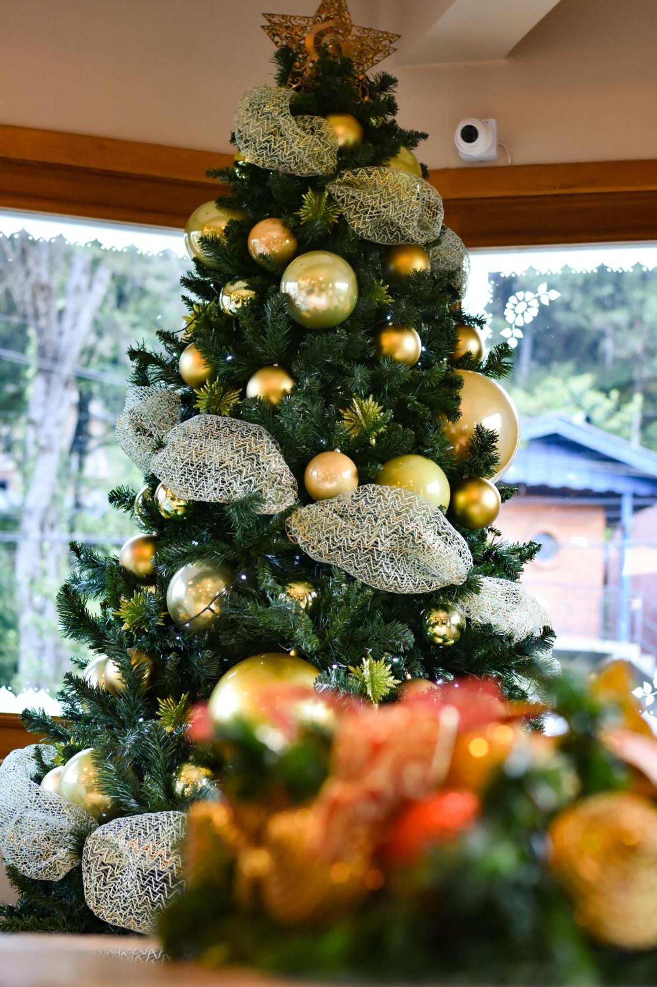 Pousada Boro Gramado Eksteriør bilde
